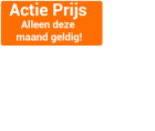 Houten speeltoestel Classic met glijbaan en twee schommels